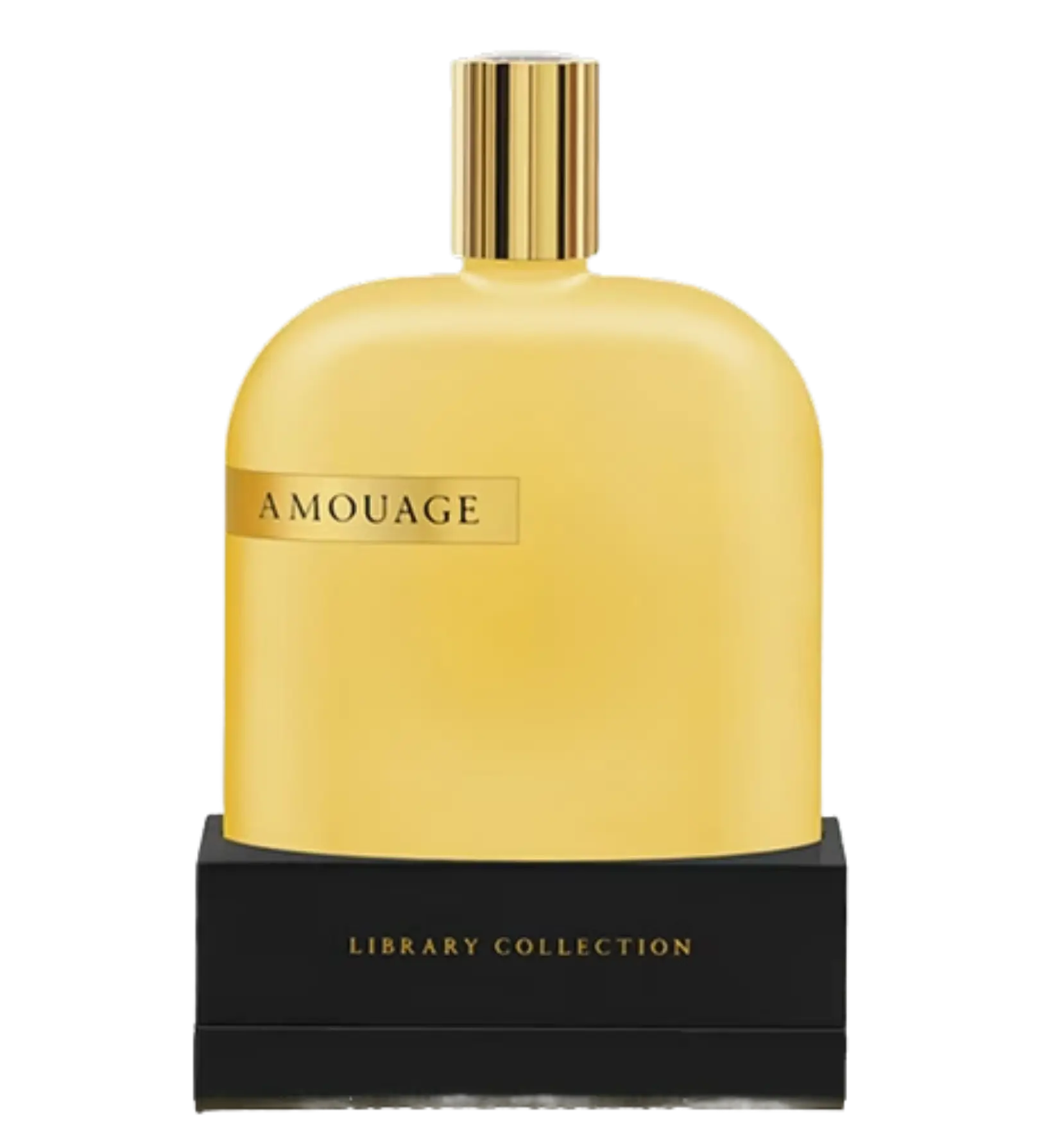 عطر ادکلن آمواج اوپوس یک | Amouage The Library Collection Opus I