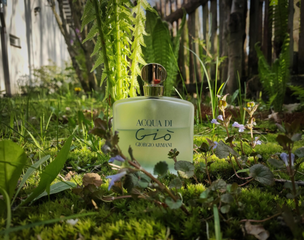 پیدا نشده — عطر ادکلن جورجیو آرمانی آکوا دی جیو زنانه | Giorgio Armani Acqua di Gio