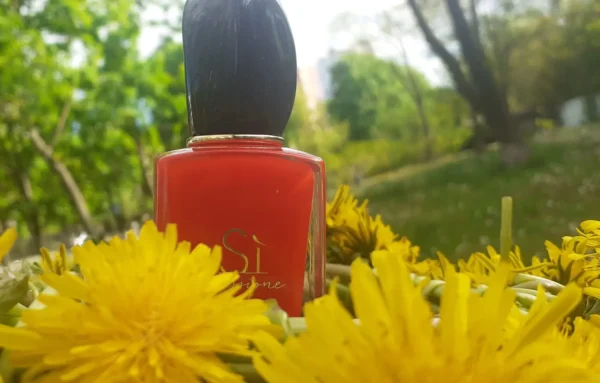 عطر ادکلن جورجیو آرمانی سی پشن اینتنس | Giorgio Armani Si Passione Intense 2024