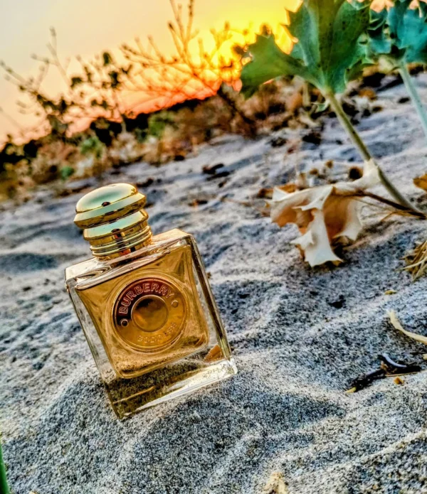 عطر ادکلن باربری گادس | Burberry Goddess
