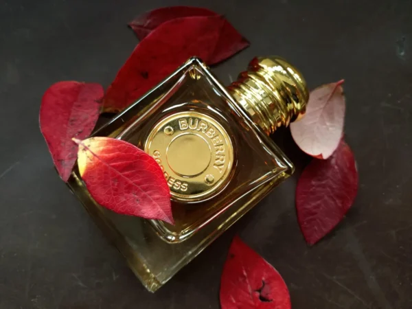 عطر ادکلن باربری گادس | Burberry Goddess