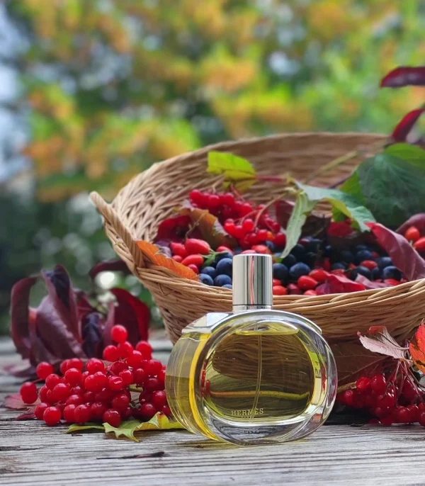 عطر ادکلن هرمس بارنیا | Hermès Barénia