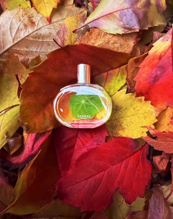 عطر ادکلن هرمس بارنیا | Hermès Barénia