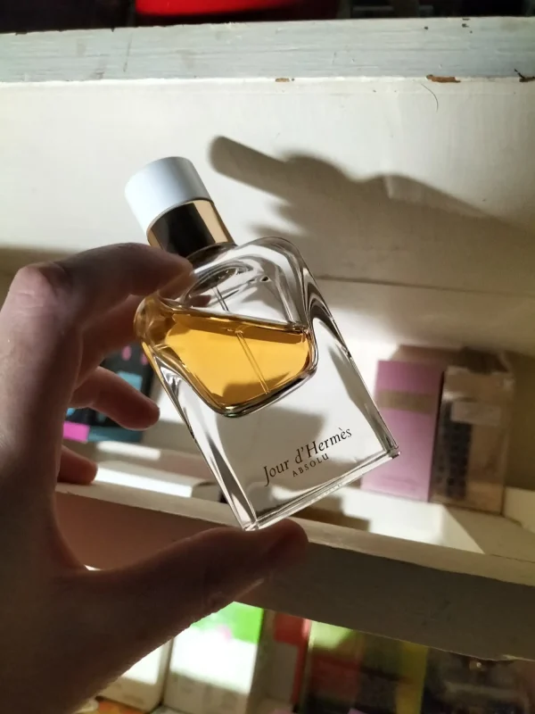 عطر ادکلن هرمس ژور دهرمس ابسولو | Hermès Jour d’Hermes Absolu