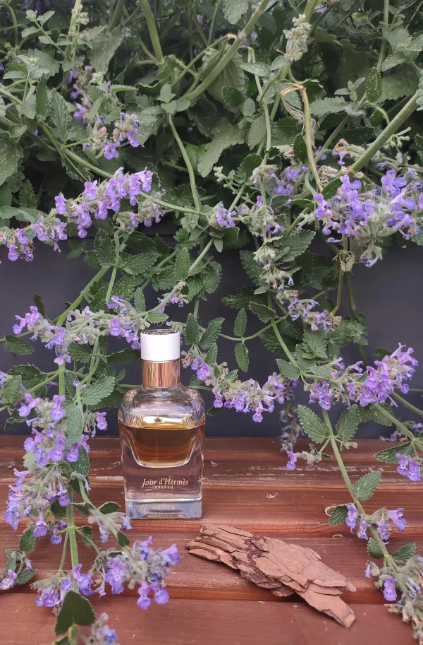 عطر ادکلن هرمس ژور دهرمس ابسولو | Hermès Jour d’Hermes Absolu