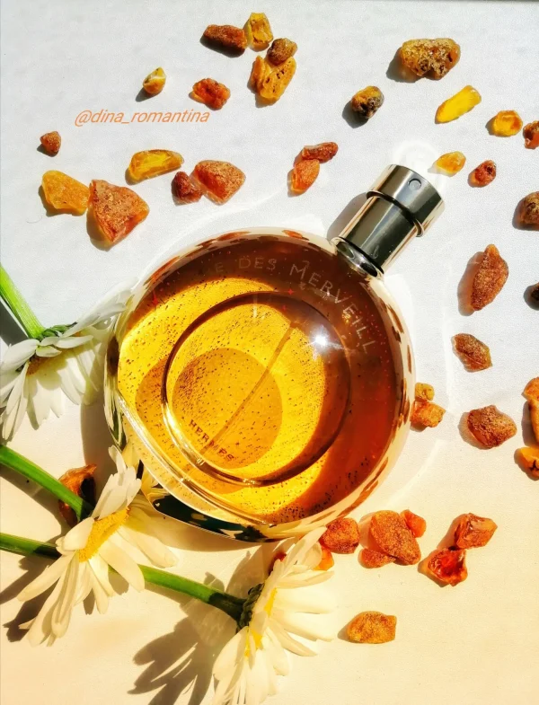 عطر ادکلن هرمس آمبر دس مرولیس | Hermès L’Ambre des Merveilles