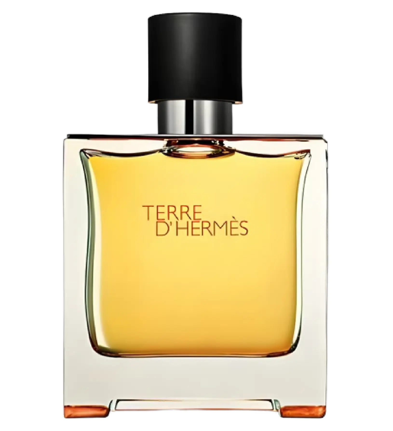 عطر ادکلن هرمس تق پرفیوم | Hermès Terre d'Hermes Parfum 100 ml