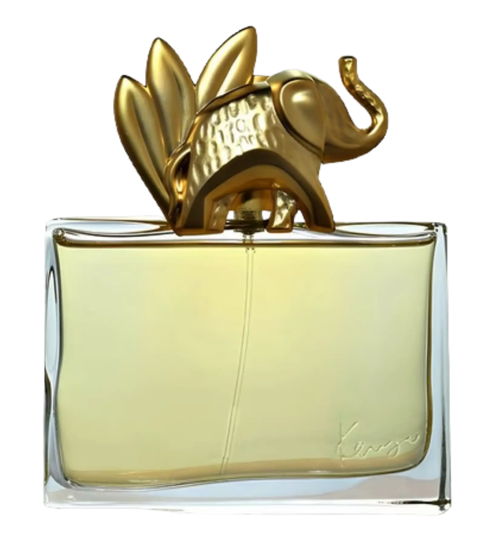 عطر ادکلن کنزو جانگل زنانه ادوپرفیوم | Kenzo Kenzo Jungle L'Elephant