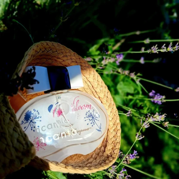 عطر ادکلن سالواتوره فراگامو اینکانتو بلوم | Salvatore Ferragamo Incanto Bloom
