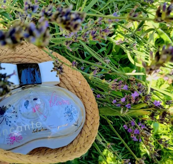 عطر ادکلن سالواتوره فراگامو اینکانتو بلوم | Salvatore Ferragamo Incanto Bloom