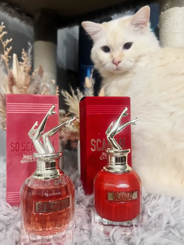 عطر ادکلن ژان پل گوتیه اسکندال له پارفوم | Jean Paul Gaultier Scandal Le Parfum