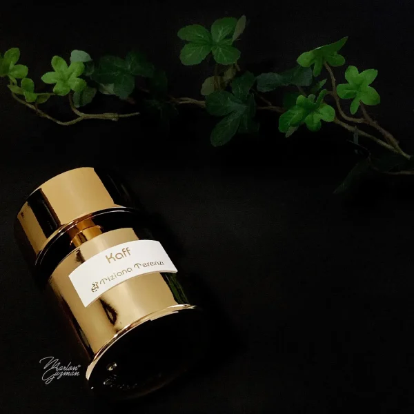 عطر ادکلن تیزیانا ترنزی کاف | Tiziana Terenzi Kaff