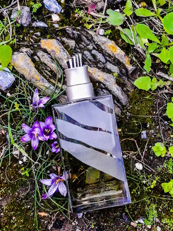 عطر ادکلن کنزو جانگل هوم | Kenzo Jungle Homme