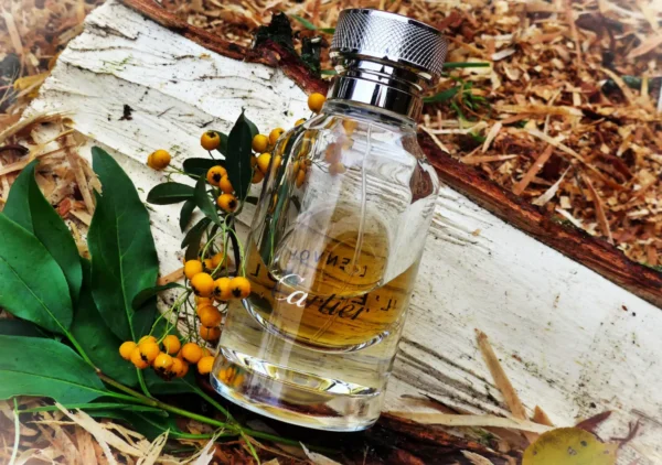 عطر ادکلن کارتیر له انوول د کارتیر | Cartier L Envol de Cartier Eau de Parfum