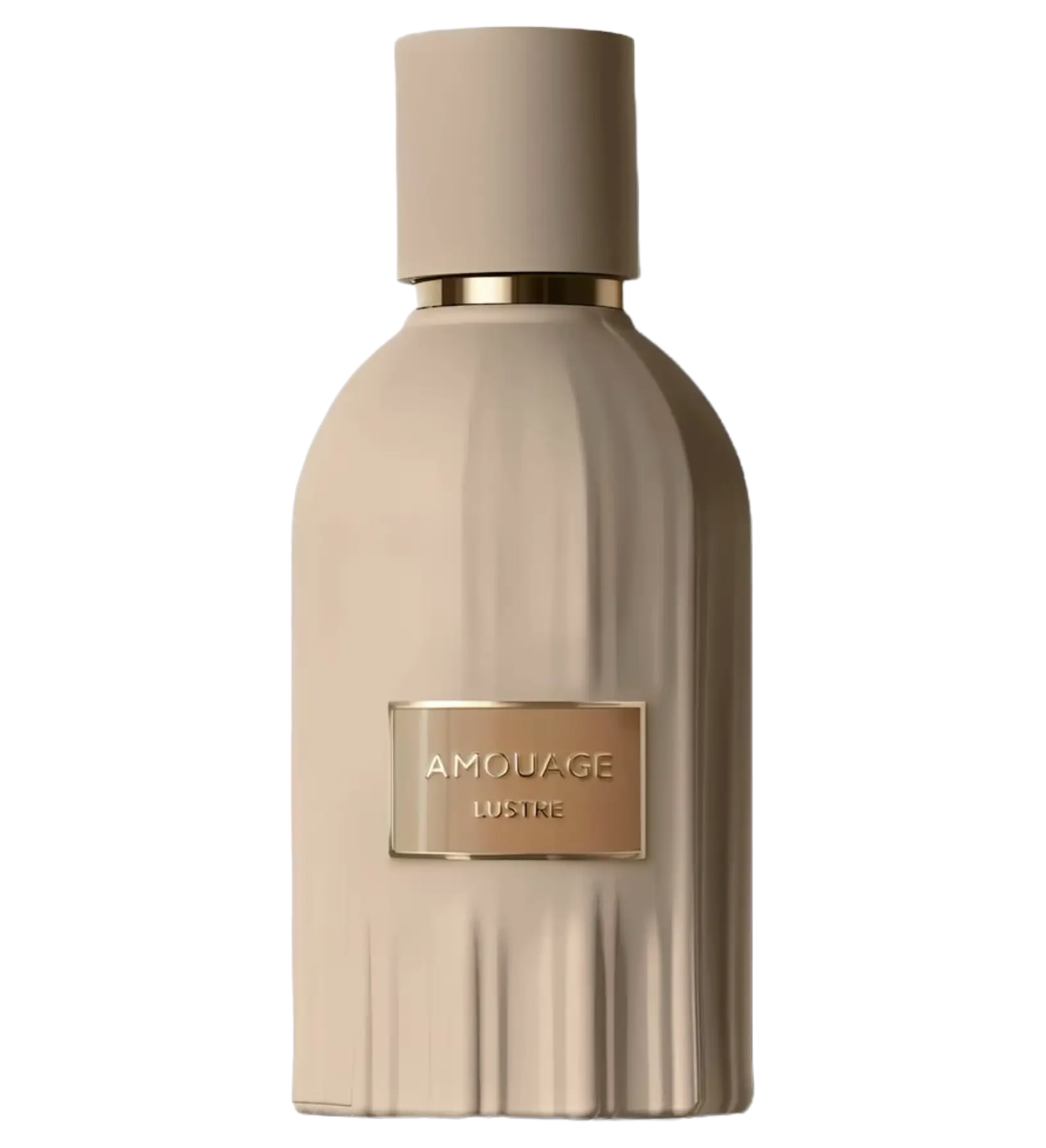 عطر ادکلن آمواج لاستر | Amouage Lustre