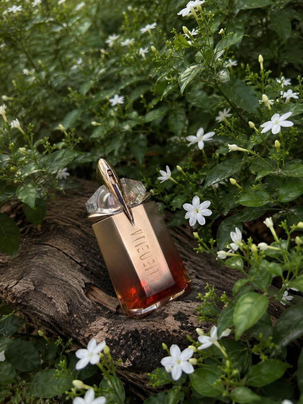 عطر ادکلن تیری موگلر الین گادس اینتنس | Mugler Alien Goddess Intense