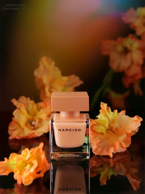 عطر ادکلن نارسیسو رودریگز نارسیسو ادو پرفیوم امبر | Narciso Rodriguez Narciso Eau de Parfum Ambrée