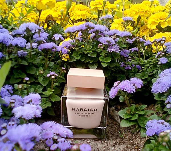 عطر ادکلن نارسیسو رودریگز نارسیس پودری | Narciso Rodriguez Narciso Poudree