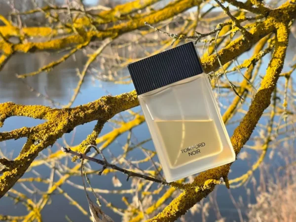 عطر ادکلن تام فورد نویر ادو تویلت | Tom Ford Noir Eau de Toilette