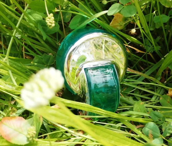 عطر ادکلن بولگاری اومنیا پارایبا | Bvlgari Omnia Paraiba
