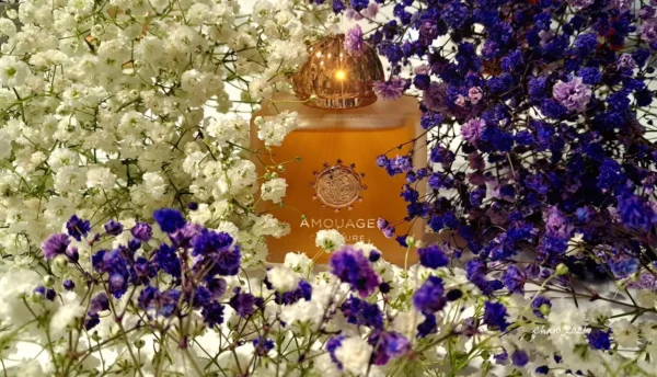 عطر ادکلن آمواج اورتور زنانه | Amouage Overture Woman