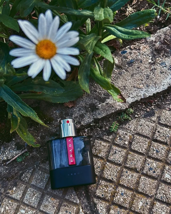 عطر ادکلن پرادا لونا روزا کربن | Prada Luna Rossa Carbon
