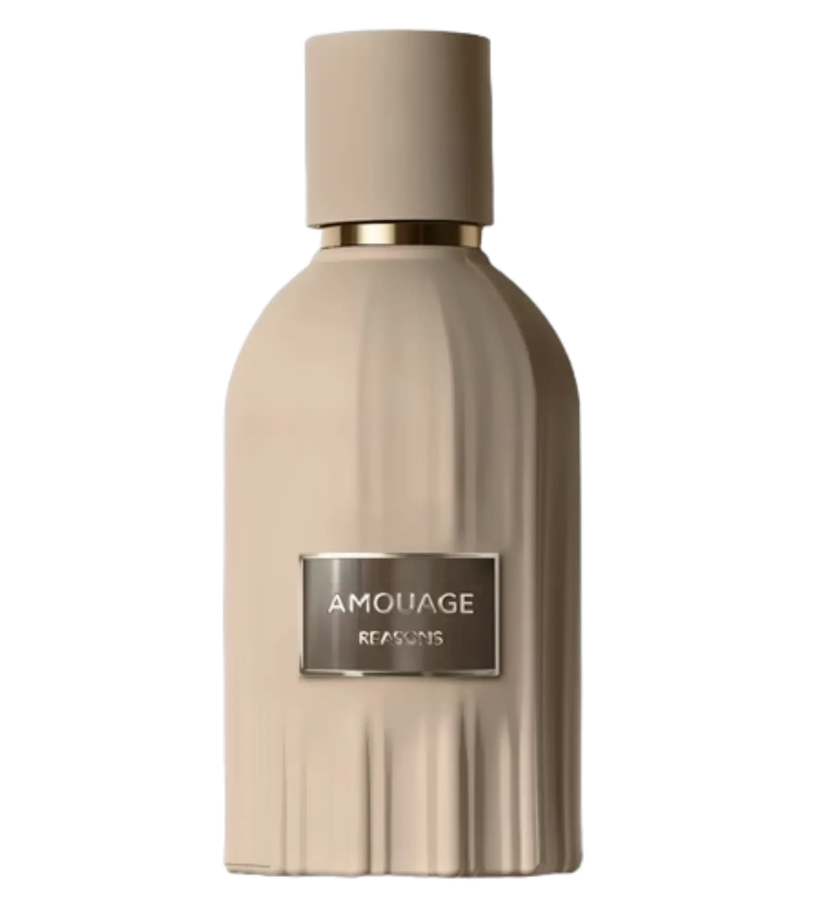 عطر ادکلن آمواج ریزنز | Amouage Reasons