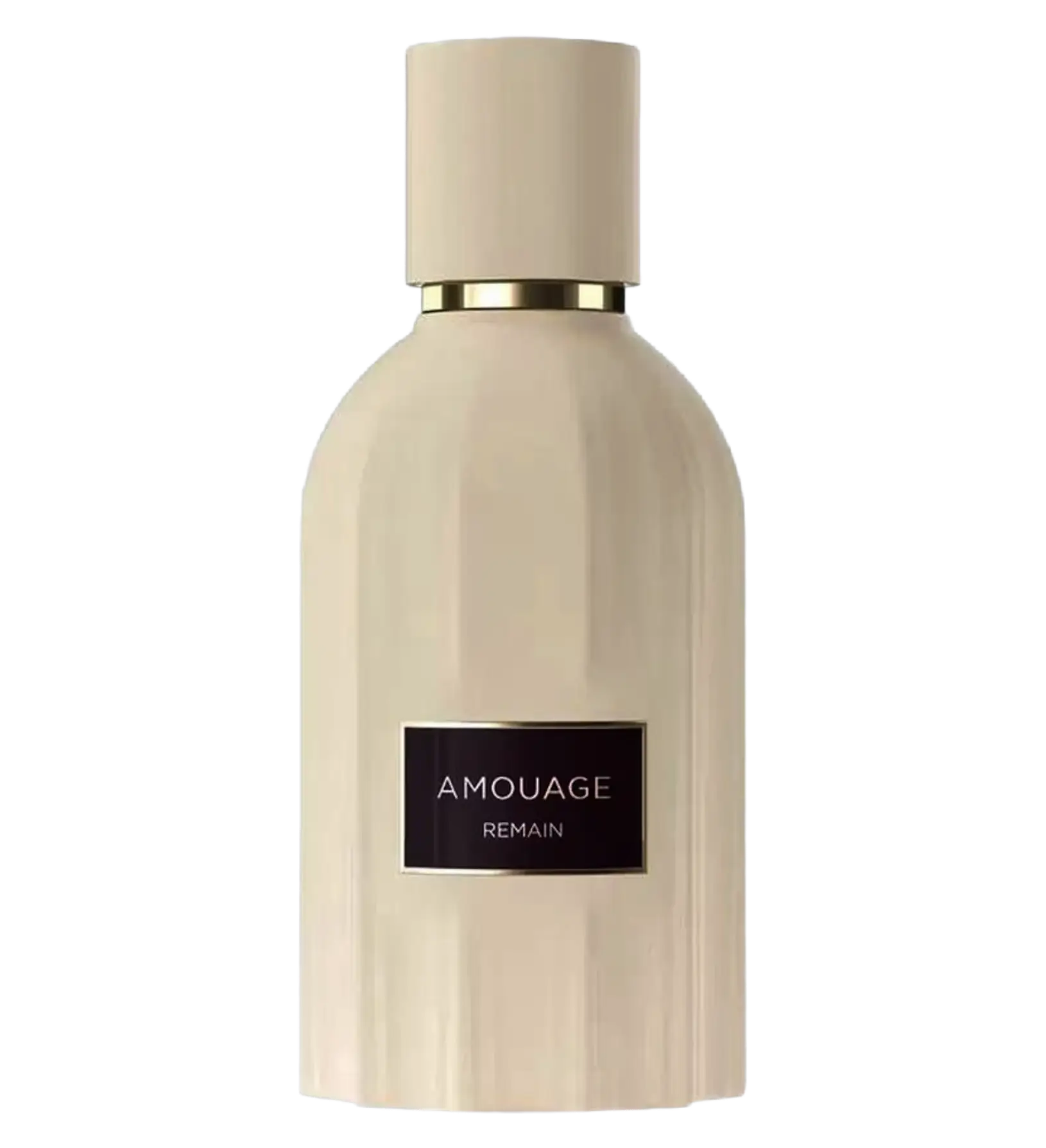 عطر ادکلن آمواج ریمین ۲۰۲۶ | Amouage Remain