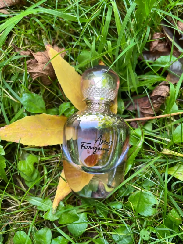 عطر ادکلن سالواتوره فراگامو آمو فراگامو | Salvatore Ferragamo Amo Ferragamo