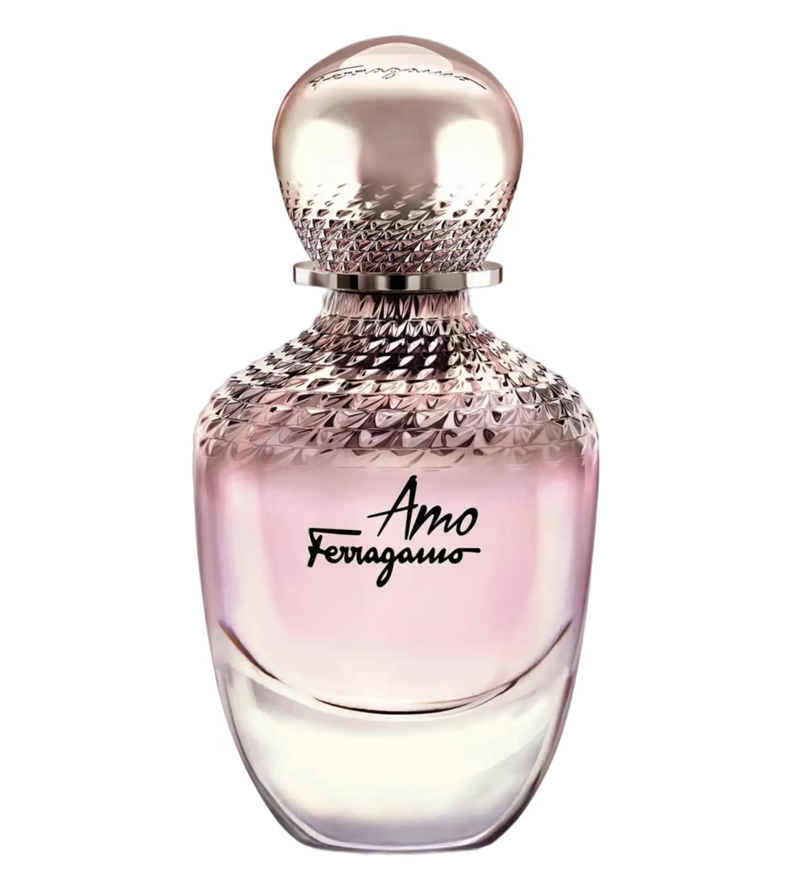 عطر ادکلن سالواتوره فراگامو آمو فراگامو | Salvatore Ferragamo Amo Ferragamo