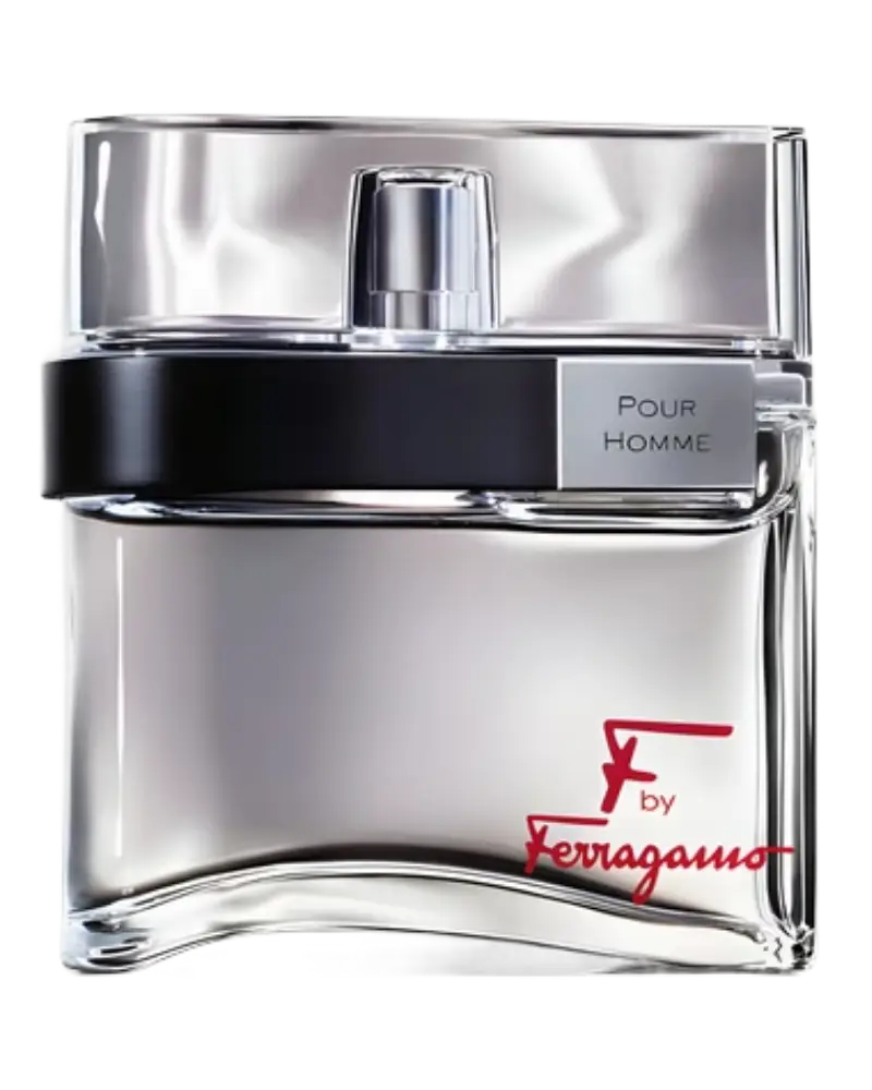 عطر ادکلن سالواتوره فراگامو اف بای فراگامو مردانه | Salvatore Ferragamo F  Ferragamo Pour Homme