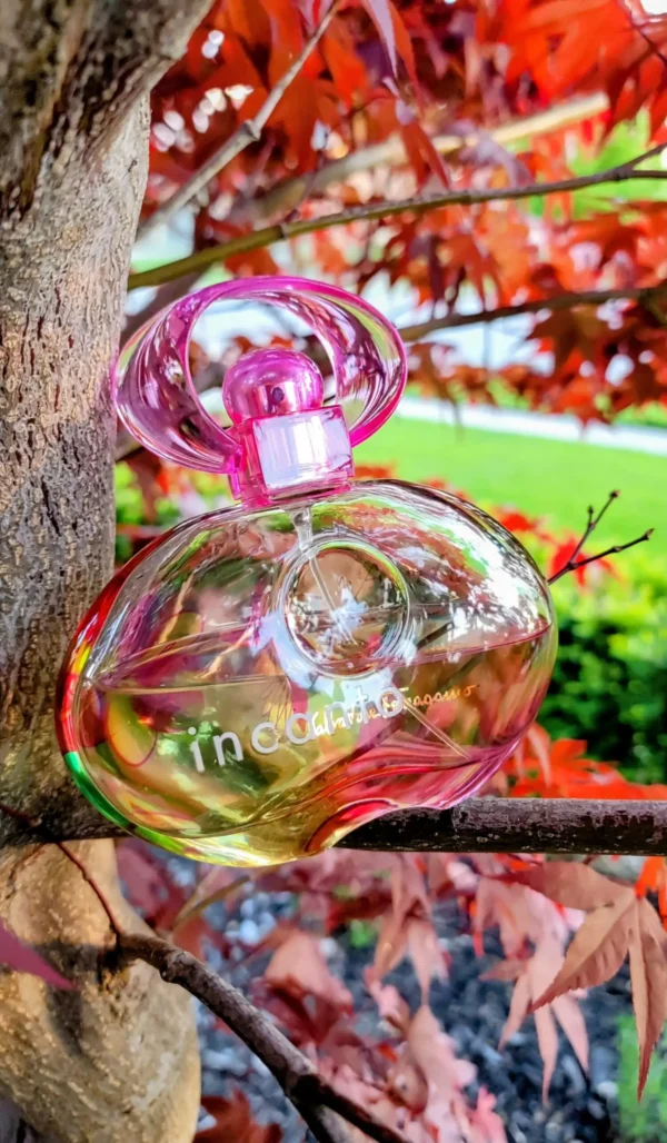 عطر ادکلن سالواتوره فراگامو اینکانتو آمیتی | Salvatore Ferragamo Incanto Amity