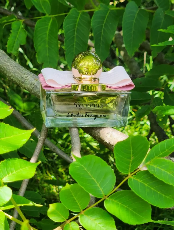 عطر ادکلن سالواتوره فراگامو سیگنورینا | Salvatore Ferragamo Signorina