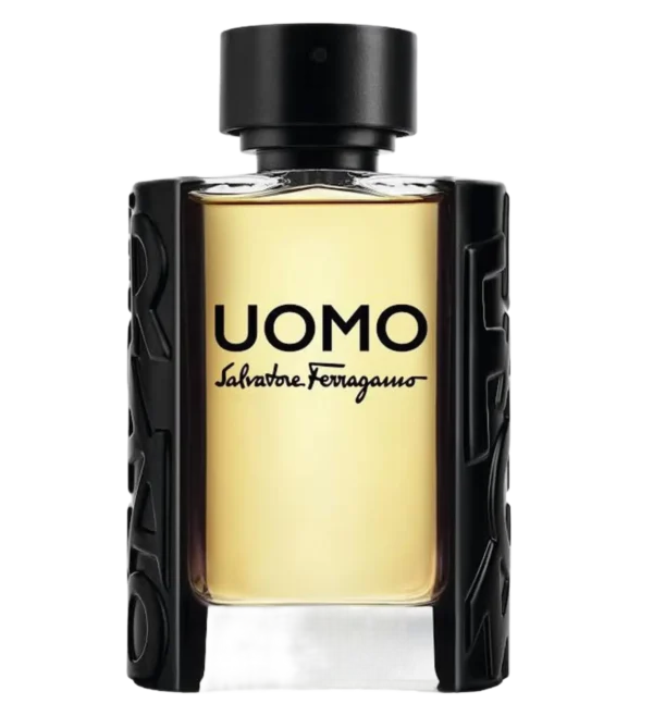 عطر ادکلن سالواتوره فراگامو اومو | Salvatore Ferragamo Uomo Salvatore Ferragamo