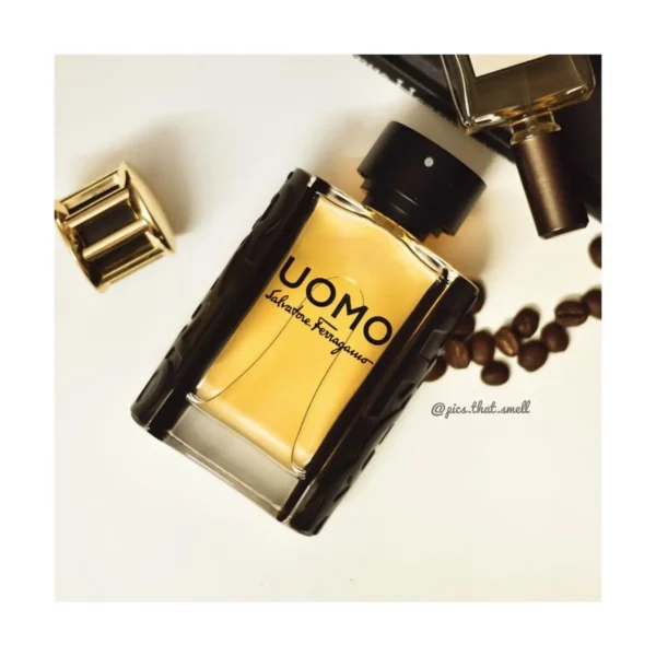 عطر ادکلن سالواتوره فراگامو اومو | Salvatore Ferragamo Uomo Salvatore Ferragamo