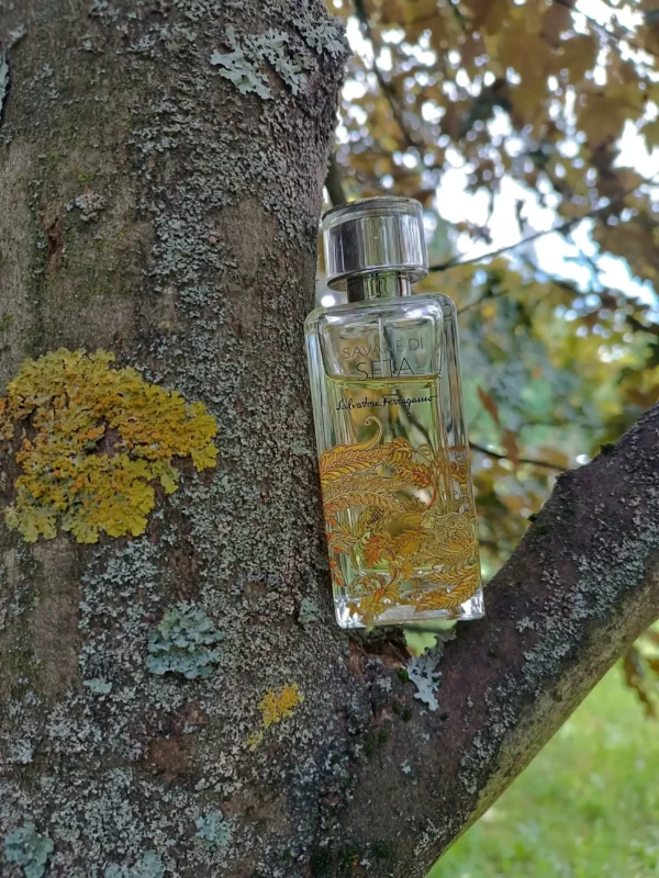 عطر ادکلن سالواتوره فراگامو ساوان دی ستا | Salvatore Ferragamo Savane di Seta