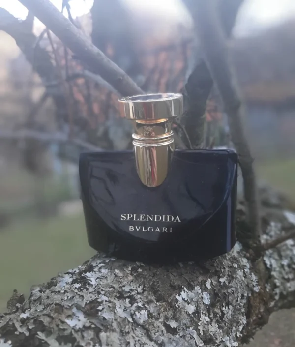 عطر ادکلن بولگاری اسپلندیدا جاسمین نویر | Bvlgari Splendida Jasmin Noir