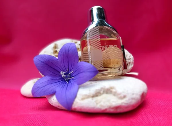 عطر ادکلن باربری د بیت زنانه | The Beat Burberry for women