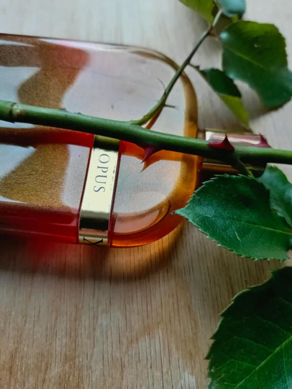 عطر ادکلن آمواج اوپوس ده | Amouage The Library Collection Opus X