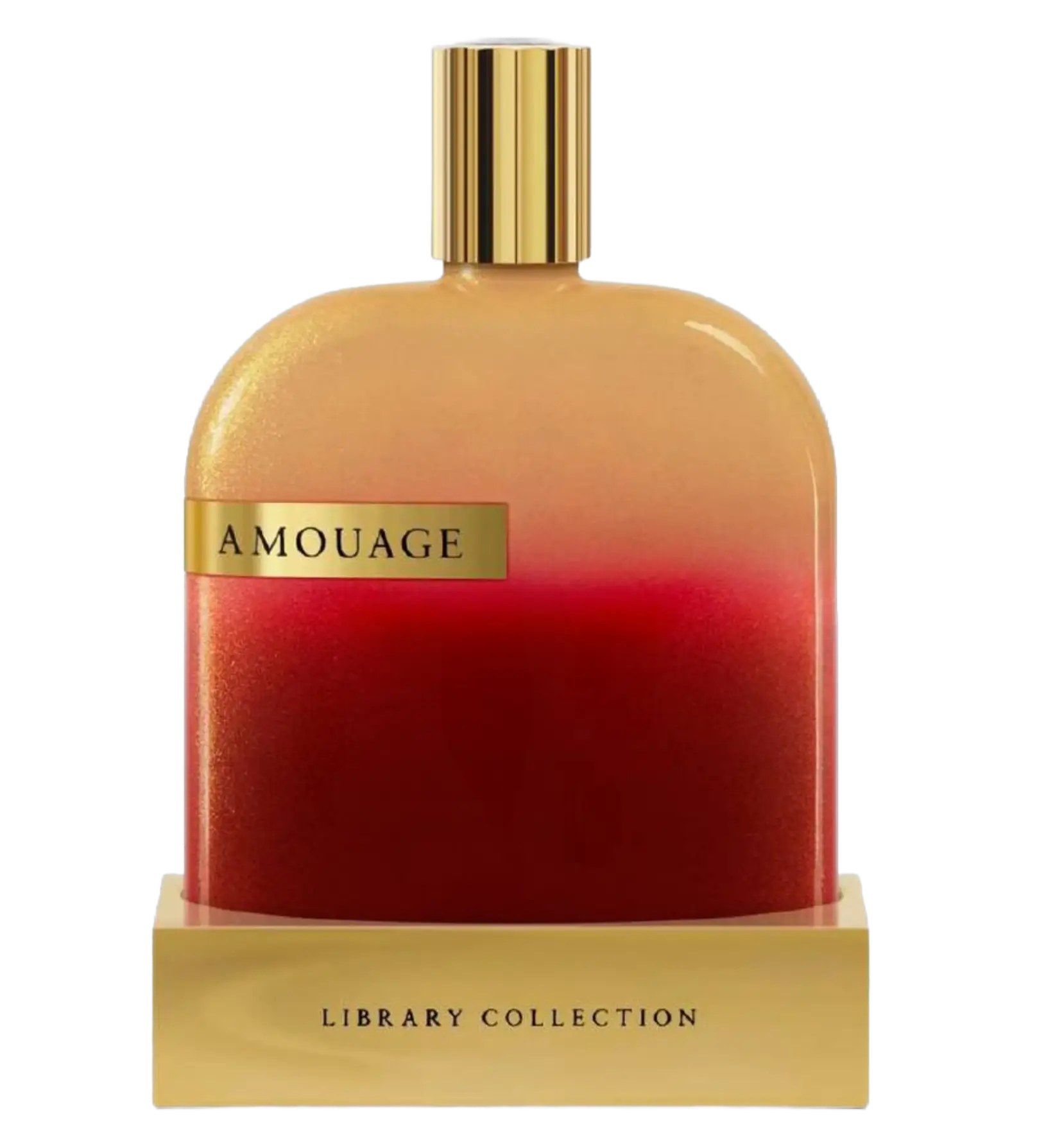 عطر ادکلن آمواج اوپوس ده | Amouage The Library Collection Opus X