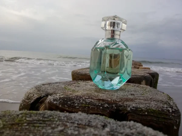 عطر ادکلن تیفانی تیفانی اند کو اینتنس | Tiffany & Co Intense Tiffany