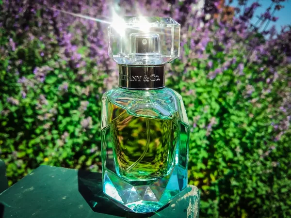 عطر ادکلن تیفانی تیفانی اند کو اینتنس | Tiffany & Co Intense Tiffany