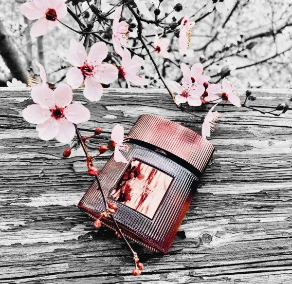 عطر ادکلن تام فورد کافه رز | Tom Ford Cafe Rose 2023