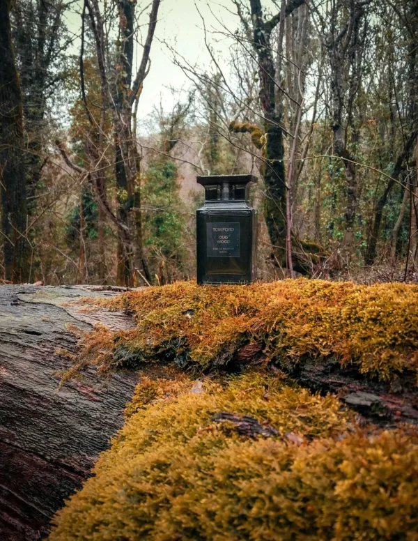 عطر ادکلن تام فورد عود وود اینتنس | Tom Ford Oud Wood Intense