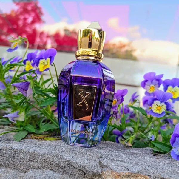 عطر ادکلن زرجوف تورینو 21 | Xerjoff Torino21