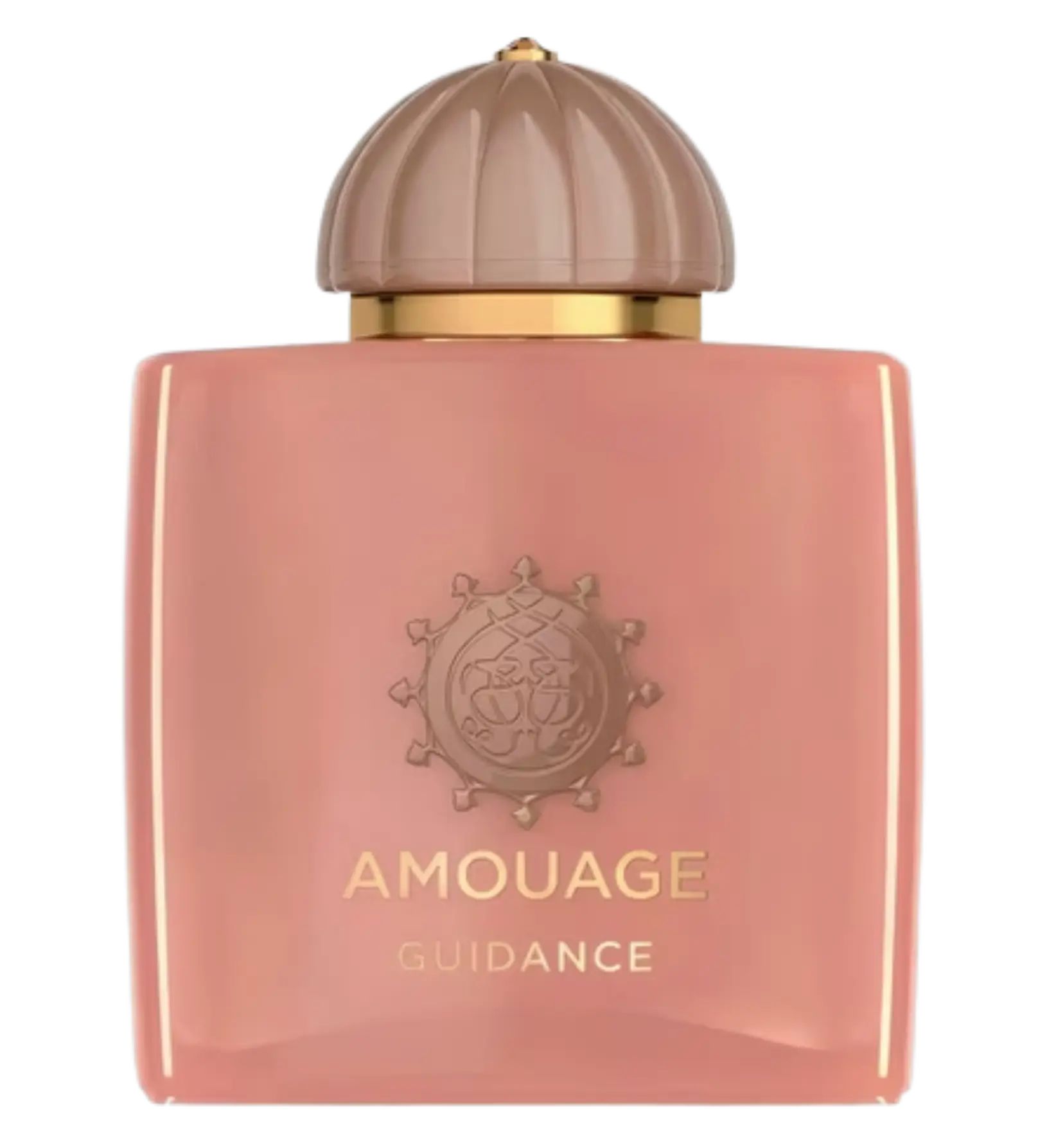 عطر ادکلن آمواج گایدنس | Amouage Guidance