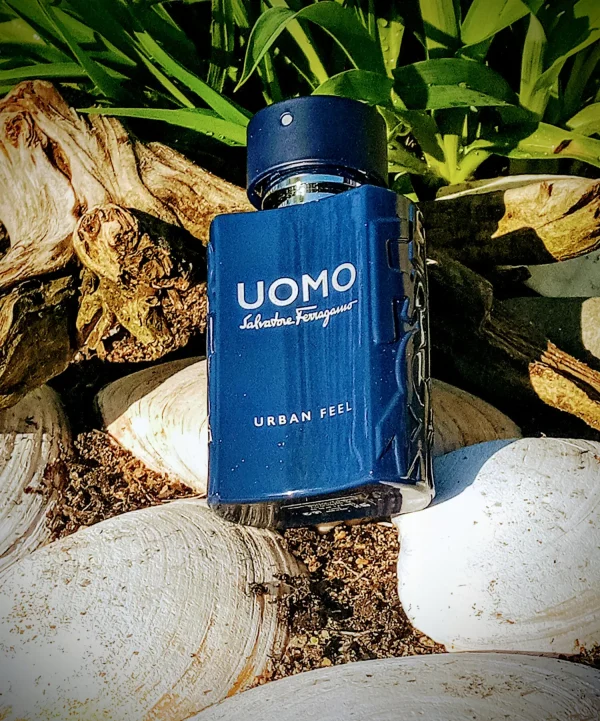 عطر ادکلن سالواتوره فراگامو یومو اوربان فیل | Salvatore Ferragamo Uomo Urban Feel