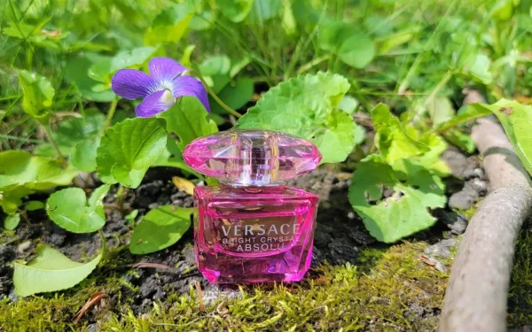 عطر ادکلن ورساچه برایت کریستال ابسولو | Versace Bright Crystal Absolu