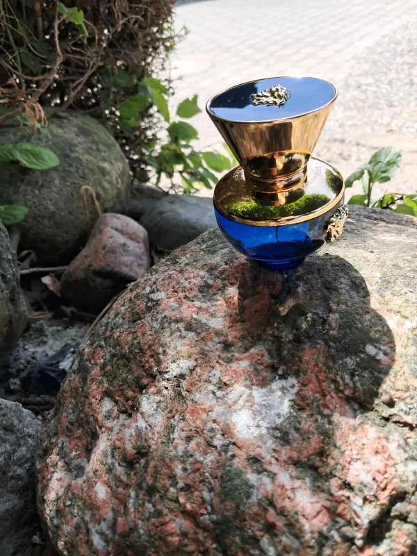 عطر ادکلن ورساچه دیلان بلو زنانه | Versace Versace Pour Femme Dylan Blue
