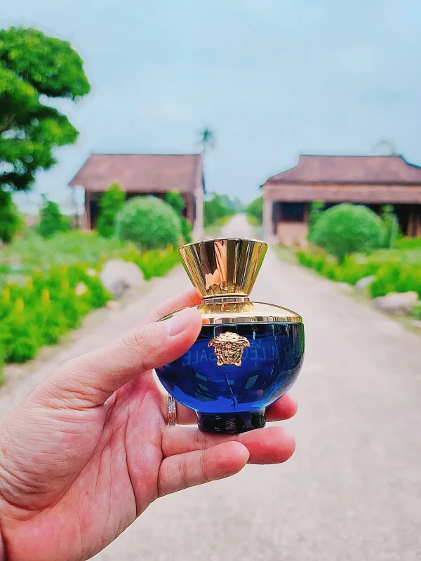عطر ادکلن ورساچه دیلان بلو زنانه | Versace Versace Pour Femme Dylan Blue